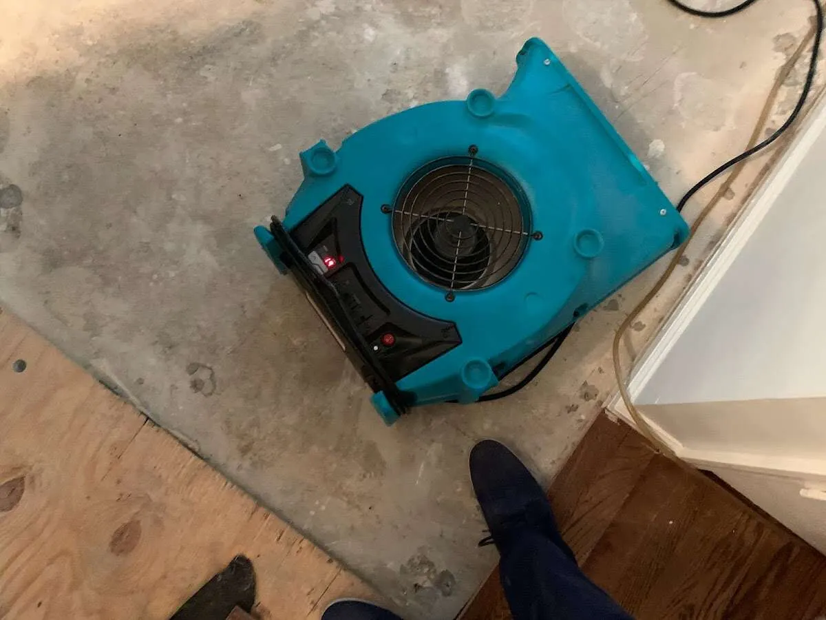 Air mover drying subfloor during Commercial Water Damage Restoration in Millbrook